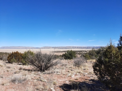 Gorgeous Views - image 5