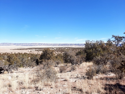 Gorgeous Views - image 8