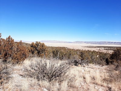 Gorgeous Views - image 9