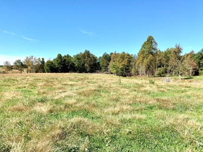 Land for sale 63 Cow Pen Rd, Crossville TN - image 4