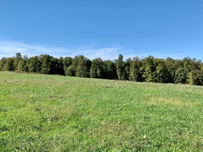 Land for sale 63 Cow Pen Rd, Crossville TN - image 25
