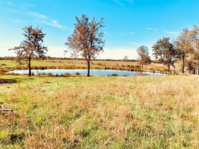 Land for sale 63 Cow Pen Rd, Crossville TN - image 1