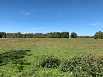 Land for sale 63 Cow Pen Rd, Crossville TN - image 42