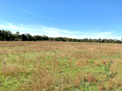 Land for sale 63 Cow Pen Rd, Crossville TN - image 22