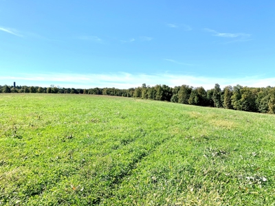 Land for sale 63 Cow Pen Rd, Crossville TN - image 15