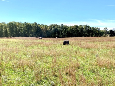 Land for sale 63 Cow Pen Rd, Crossville TN - image 23