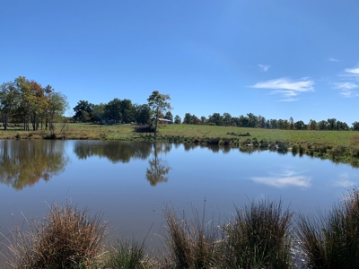 Land for sale 63 Cow Pen Rd, Crossville TN - image 9