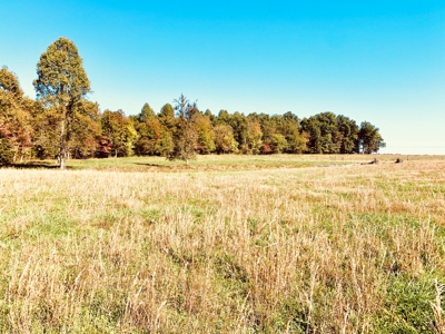 Land for sale 63 Cow Pen Rd, Crossville TN - image 7