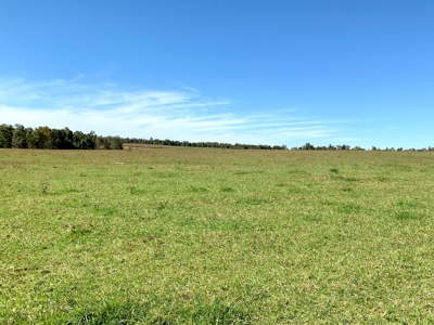 Land for sale 63 Cow Pen Rd, Crossville TN - image 36