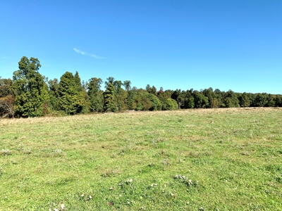 Land for sale 63 Cow Pen Rd, Crossville TN - image 13