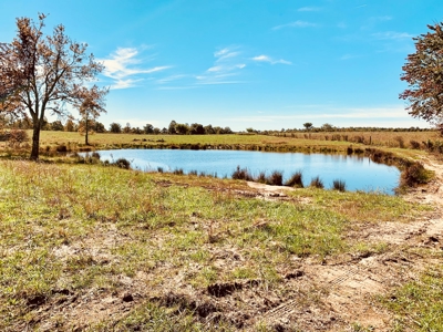 Land for sale 63 Cow Pen Rd, Crossville TN - image 5