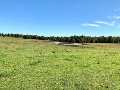 Land for sale 63 Cow Pen Rd, Crossville TN - image 27