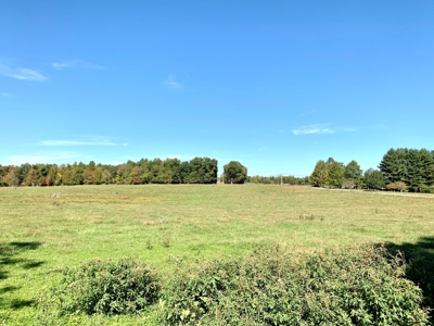 Land for sale 63 Cow Pen Rd, Crossville TN - image 41