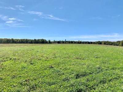 Land for sale 63 Cow Pen Rd, Crossville TN - image 17