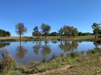 Land for sale 63 Cow Pen Rd, Crossville TN - image 10