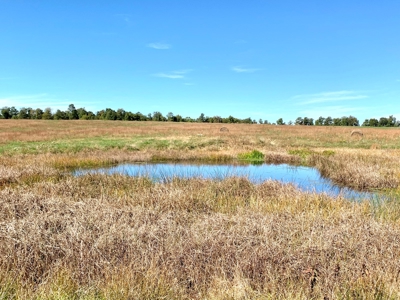 Land for sale 63 Cow Pen Rd, Crossville TN - image 20