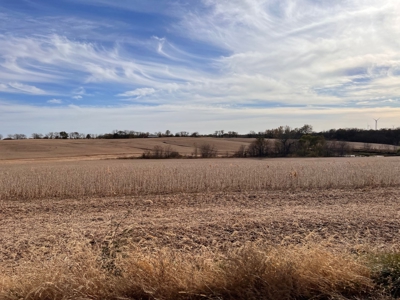 131 Acres For Sale In Northwest Missouri - image 8