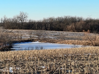 131 Acres For Sale In Northwest Missouri - image 7