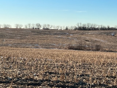 131 Acres For Sale In Northwest Missouri - image 6