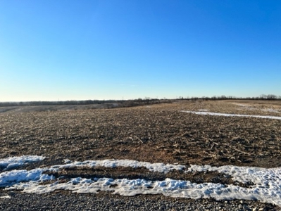 131 Acres For Sale In Northwest Missouri - image 3
