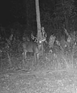 Texas Hunting Property with Lake  Cass County - image 20