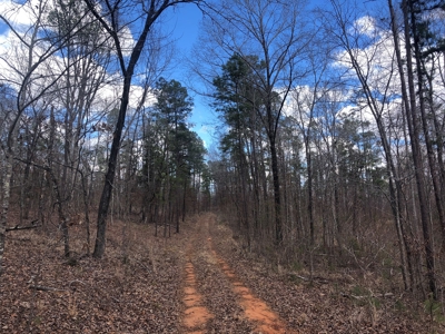 Texas Hunting Property with Lake  Cass County - image 10