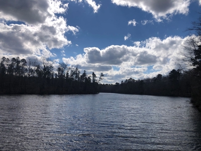 Texas Hunting Property with Lake  Cass County - image 1