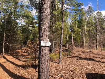 Texas Hunting Property with Lake  Cass County - image 12