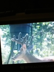 Texas Hunting Property with Lake  Cass County - image 30