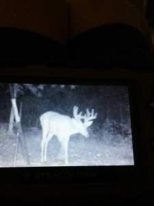 Texas Hunting Property with Lake  Cass County - image 29