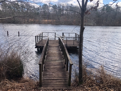 Texas Hunting Property with Lake  Cass County - image 16