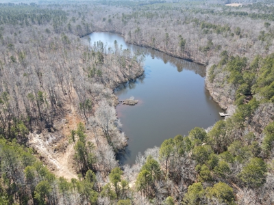 Texas Hunting Property with Lake  Cass County - image 23