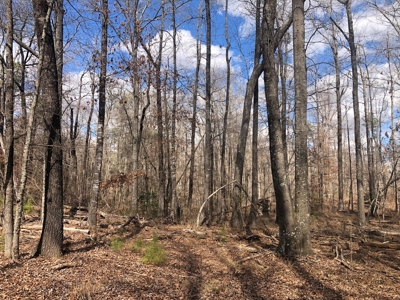 Texas Hunting Property with Lake  Cass County - image 8