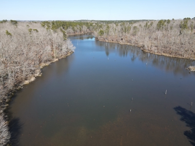 Texas Hunting Property with Lake  Cass County - image 24