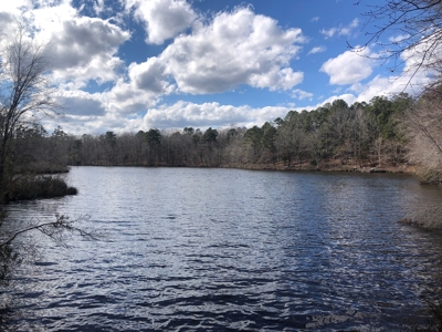 Texas Hunting Property with Lake  Cass County - image 3