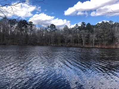 Texas Hunting Property with Lake  Cass County - image 4