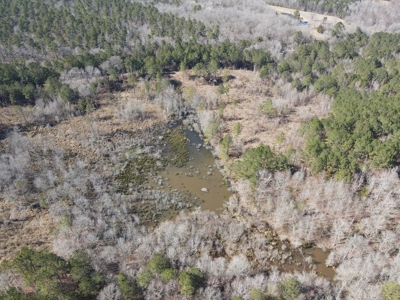 Texas Hunting Property with Lake  Cass County - image 25