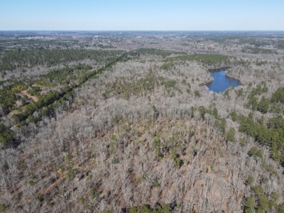 Texas Hunting Property with Lake  Cass County - image 26