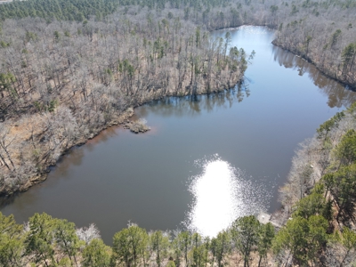 Texas Hunting Property with Lake  Cass County - image 22