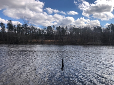 Texas Hunting Property with Lake  Cass County - image 2