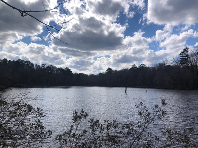 Texas Hunting Property with Lake  Cass County - image 5