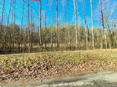 17.22 Acres For Sale in Morristown, TN - image 36
