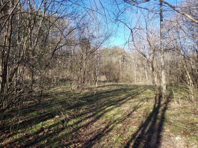 17.22 Acres For Sale in Morristown, TN - image 40
