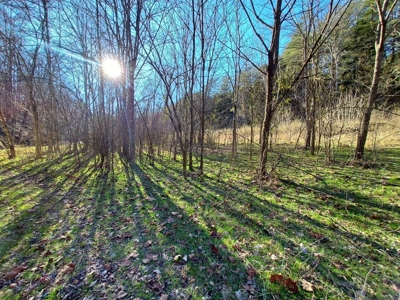 17.22 Acres For Sale in Morristown, TN - image 37