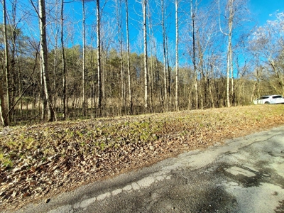 17.22 Acres For Sale in Morristown, TN - image 35