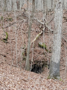 17.22 Acres For Sale in Morristown, TN - image 15