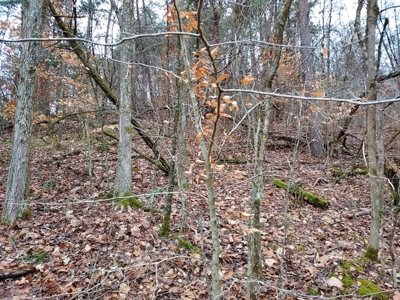 17.22 Acres For Sale in Morristown, TN - image 3