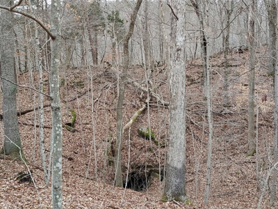 17.22 Acres For Sale in Morristown, TN - image 16