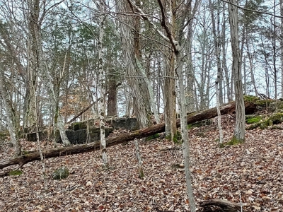 17.22 Acres For Sale in Morristown, TN - image 7