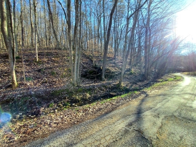 17.22 Acres For Sale in Morristown, TN - image 33